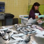 Sul Informação - Milhos aferventados, figos secos e até um cachorro no “novo” Mercado de Messines