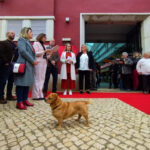 Sul Informação - Milhos aferventados, figos secos e até um cachorro no “novo” Mercado de Messines