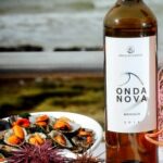 Sul Informação - Oito “mesas” do Algarve entre as 49 pré-finalistas do concurso 7 Maravilhas à Mesa