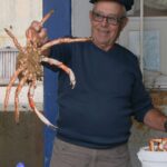 Sul Informação - O mestre das agulhas que continua a sua arte aos 75 anos