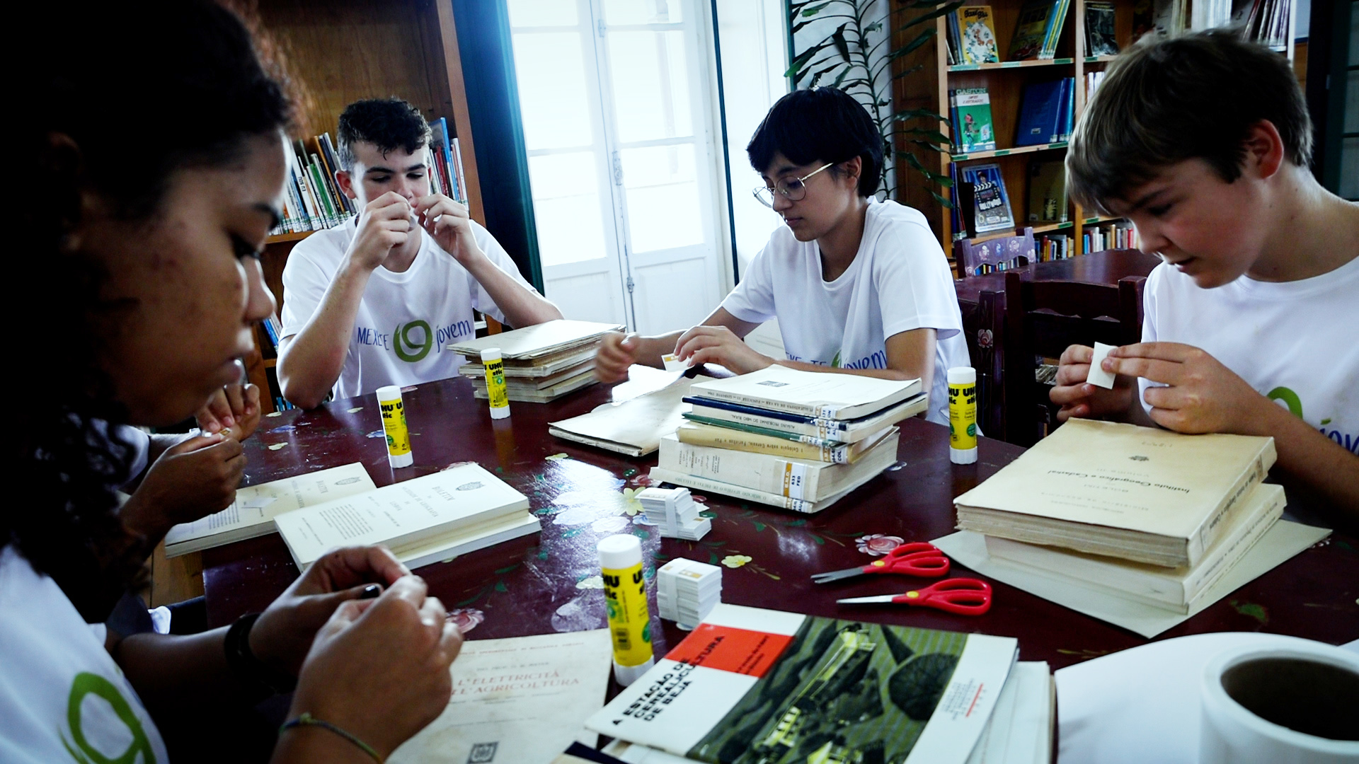 Sul Informação - Projeto de voluntariado «Mexe-te O Jovem» promoveu cidadania ativa em Odemira