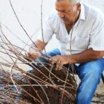 Sul Informação - Fotogaleria: Raízes da Mexilhoeira Grande mostraram-se no largo da vila