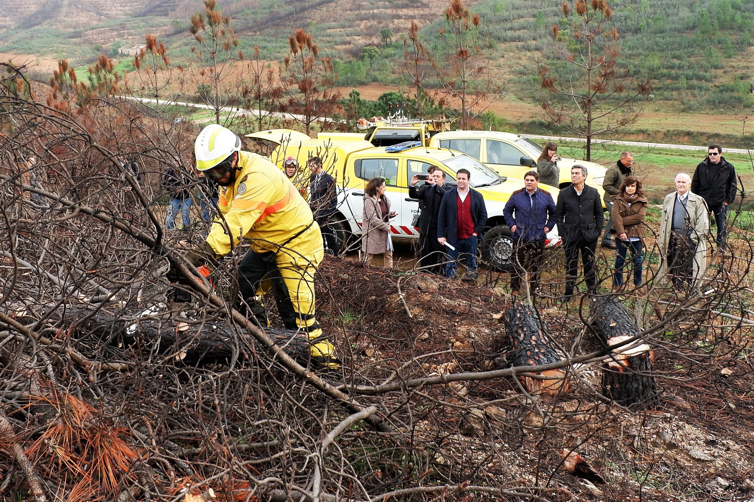 Sul Informação - Estabilização de emergência pós-incêndio já chegou, mas não todo o dinheiro pedido