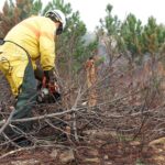 Sul Informação - Estabilização de emergência pós-incêndio já chegou, mas não todo o dinheiro pedido