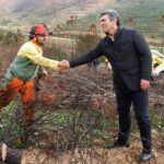 Sul Informação - Estabilização de emergência pós-incêndio já chegou, mas não todo o dinheiro pedido
