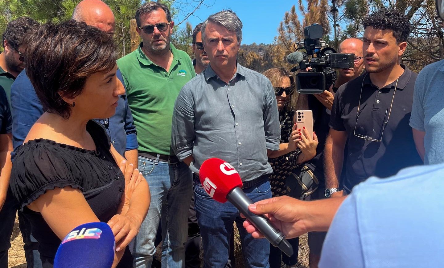Sul Informação - Governo disponibiliza apoio a agricultores afetados pelo fogo de São Teotónio