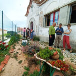 Sul Informação - Ministro da Cultura foi a Casais conhecer o novo espetáculo comunitário do Lavrar o Mar