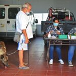 Sul Informação - Exemplo de Monchique para garantir bem-estar animal é «muito plural»