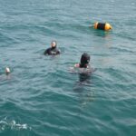 Sul Informação - Ministro do Mar mergulhou no «primeiro viveiro de amêijoas em mar aberto do mundo»