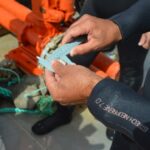 Sul Informação - Ministro do Mar mergulhou no «primeiro viveiro de amêijoas em mar aberto do mundo»