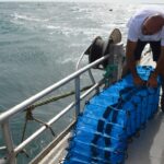Sul Informação - Ministro do Mar mergulhou no «primeiro viveiro de amêijoas em mar aberto do mundo»
