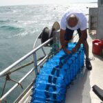 Sul Informação - Ministro do Mar mergulhou no «primeiro viveiro de amêijoas em mar aberto do mundo»