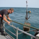 Sul Informação - Ministro do Mar mergulhou no «primeiro viveiro de amêijoas em mar aberto do mundo»