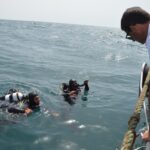 Sul Informação - Ministro do Mar mergulhou no «primeiro viveiro de amêijoas em mar aberto do mundo»