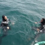 Sul Informação - Ministro do Mar mergulhou no «primeiro viveiro de amêijoas em mar aberto do mundo»