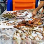 Sul Informação - Mercado de Portimão tem módulo disponível em hasta pública