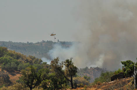 Sul Informação - Novo incêndio na Serra do Caldeirão, agora em Montes Novos