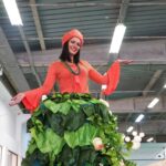 Sul Informação - Mostra da Laranja de Silves também é festa da inovação