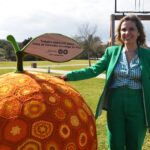 Sul Informação - Mostra da Laranja em Silves marca o regresso à normalidade no Algarve [com vídeo]