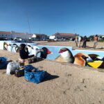 Sul Informação - Primeiro dia do Festival de Observação de Aves de Sagres culmina com libertação de águia-calçada