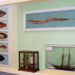 Sul Informação - Reabertura do museu mais antigo do Algarve é algo «bom para todos»