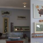 Sul Informação - Reabertura do museu mais antigo do Algarve é algo «bom para todos»