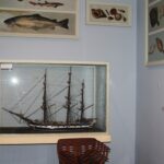 Sul Informação - Reabertura do museu mais antigo do Algarve é algo «bom para todos»
