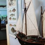 Sul Informação - Reabertura do museu mais antigo do Algarve é algo «bom para todos»