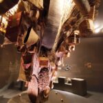 Sul Informação - Lagos reabre hoje o seu (novo) Museu