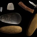 Sul Informação - Um Museu em Vila do Bispo para contar 400 milhões de anos de histórias