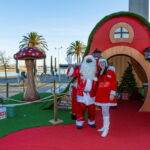 Sul Informação - Dos espetáculos à pista de gelo, Portimão volta a ser “Um Sonho de Natal”