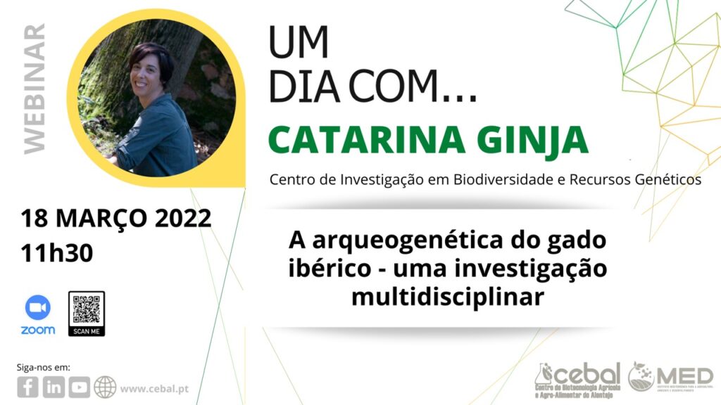 Sul Informação