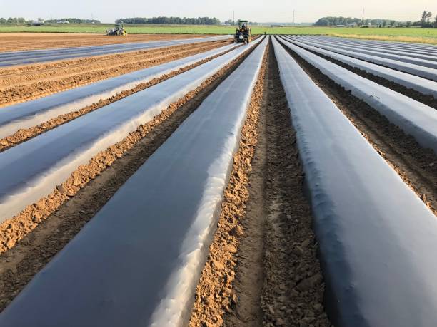Sul Informação - Investigadores da CEBAL ganham prémio de inovação europeu para agricultura mais sustentável