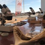 Sul Informação - Nova Escola de Sagres volta à fortaleza sob o mote dos “Patrimónios Desconfortáveis”