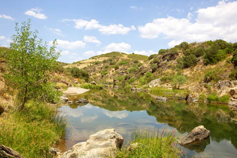 Sul Informação - Ribeira do Vascão classificada como um dos dois novos Sítios Ramsar em Portugal