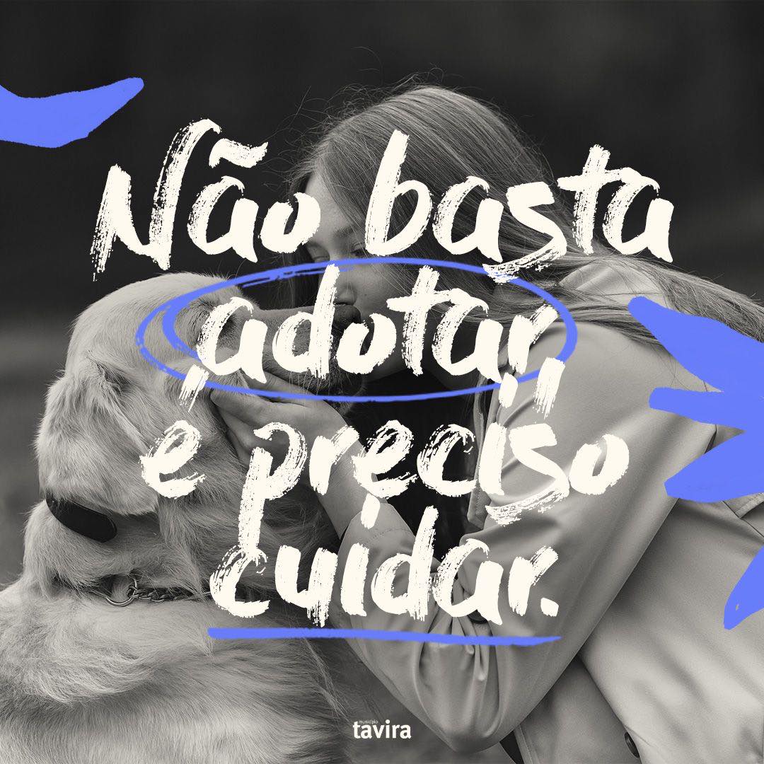Sul Informação