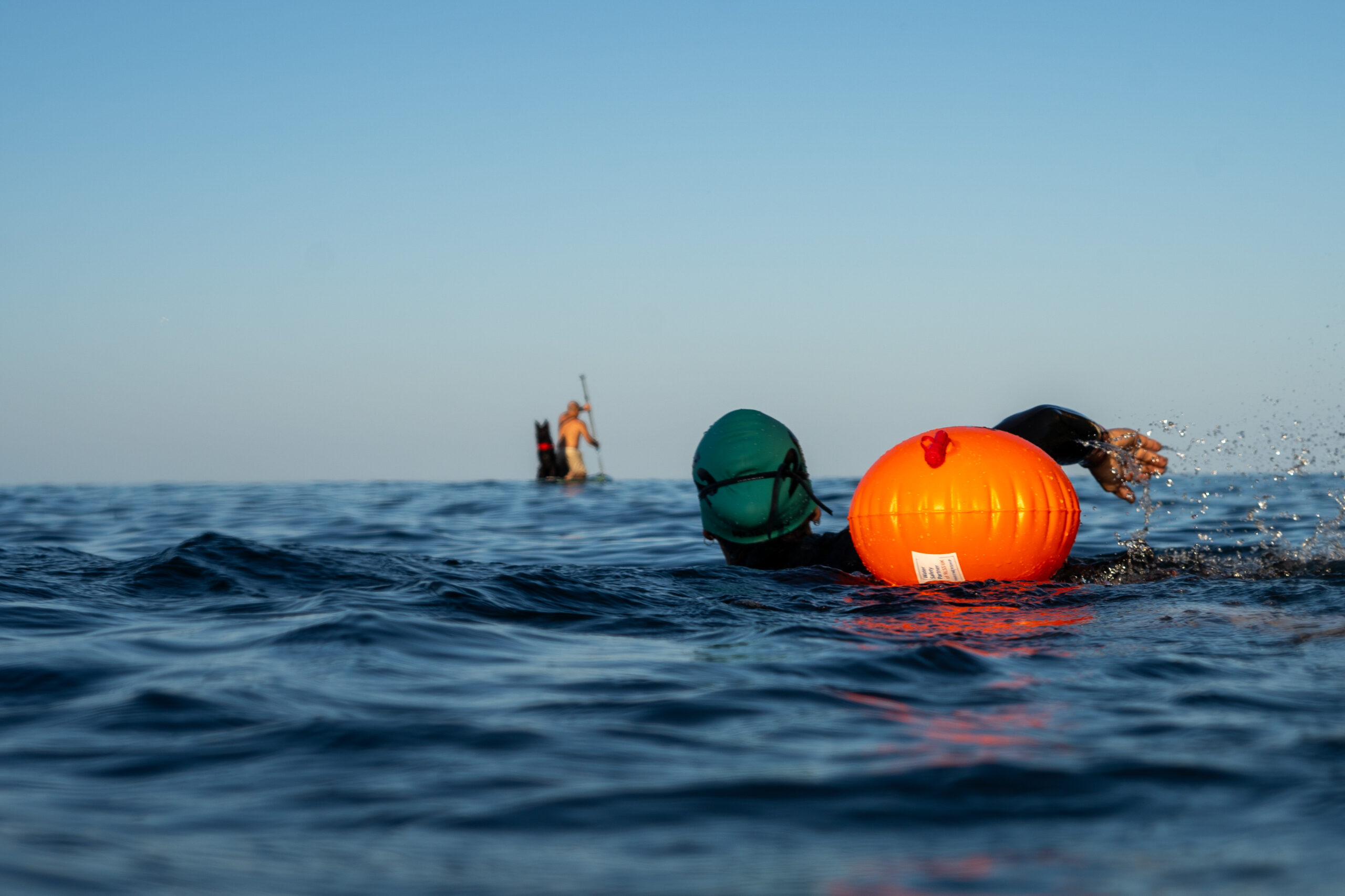 Sul Informação - Algarve acolhe primeira edição do desafio de natação 10km Swim Party