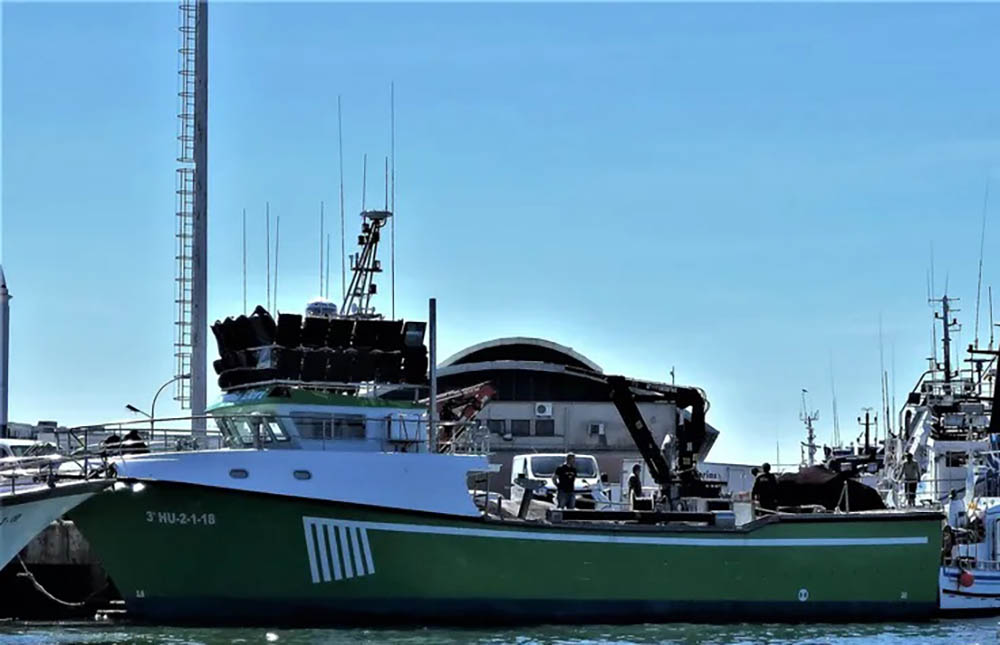 Sul Informação - Embarcação espanhola apanhada a pescar sardinha ilegalmente no Algarve