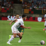 Sul Informação - Fotogaleria: Foi assim que os algarvios assistiram à maior goleada de sempre da seleção