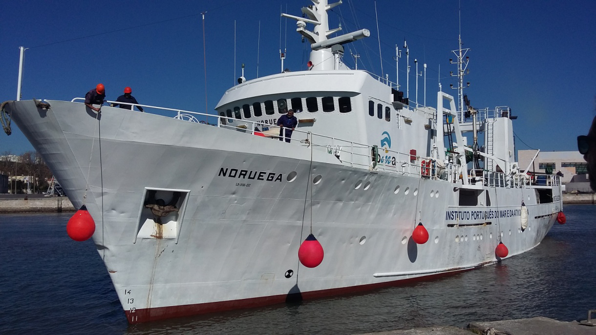 Sul Informação - Nova campanha do navio de investigação «Noruega» estima stock de sardinha e de biqueirão