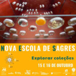 Sul Informação - A Nova Escola de Sagres volta à Fortaleza com ciência, tecnologia e uma pitada de história