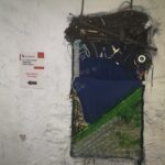 Sul Informação - Novo Bauhaus Europeu foi celebrado em evento em Faro
