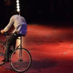 Sul Informação - Trombones, trapézios voadores e trampolins fizeram a festa do novo circo em Monchique