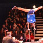 Sul Informação - Trombones, trapézios voadores e trampolins fizeram a festa do novo circo em Monchique