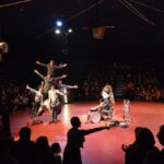 Sul Informação - Trombones, trapézios voadores e trampolins fizeram a festa do novo circo em Monchique