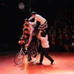 Sul Informação - Trombones, trapézios voadores e trampolins fizeram a festa do novo circo em Monchique