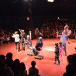 Sul Informação - Trombones, trapézios voadores e trampolins fizeram a festa do novo circo em Monchique