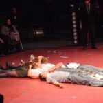 Sul Informação - Trombones, trapézios voadores e trampolins fizeram a festa do novo circo em Monchique