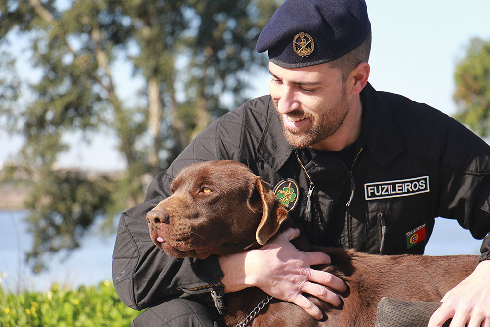 Sul Informação - Cães da Marinha já fizeram mais de 107 ações de busca e deteção este ano