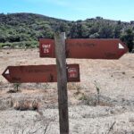 Sul Informação - Melancias
